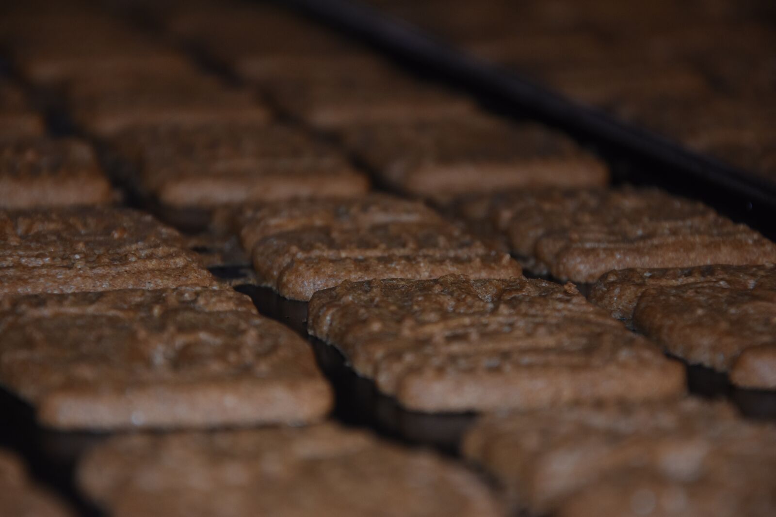Nikon D3400 sample photo. Gingerbread, cookies, baker photography