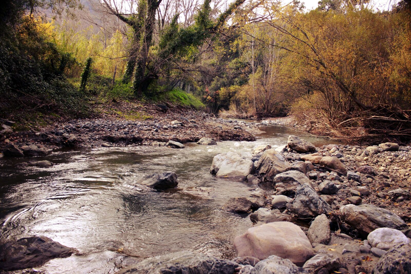 Canon EOS 600D (Rebel EOS T3i / EOS Kiss X5) sample photo. Benalauria, nature, andalusia photography