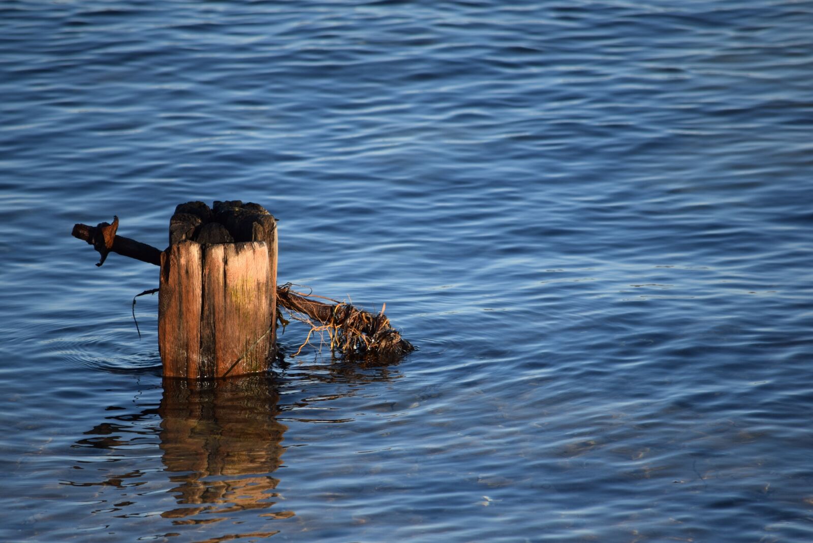 Nikon D5300 sample photo. Water, pile, brown photography
