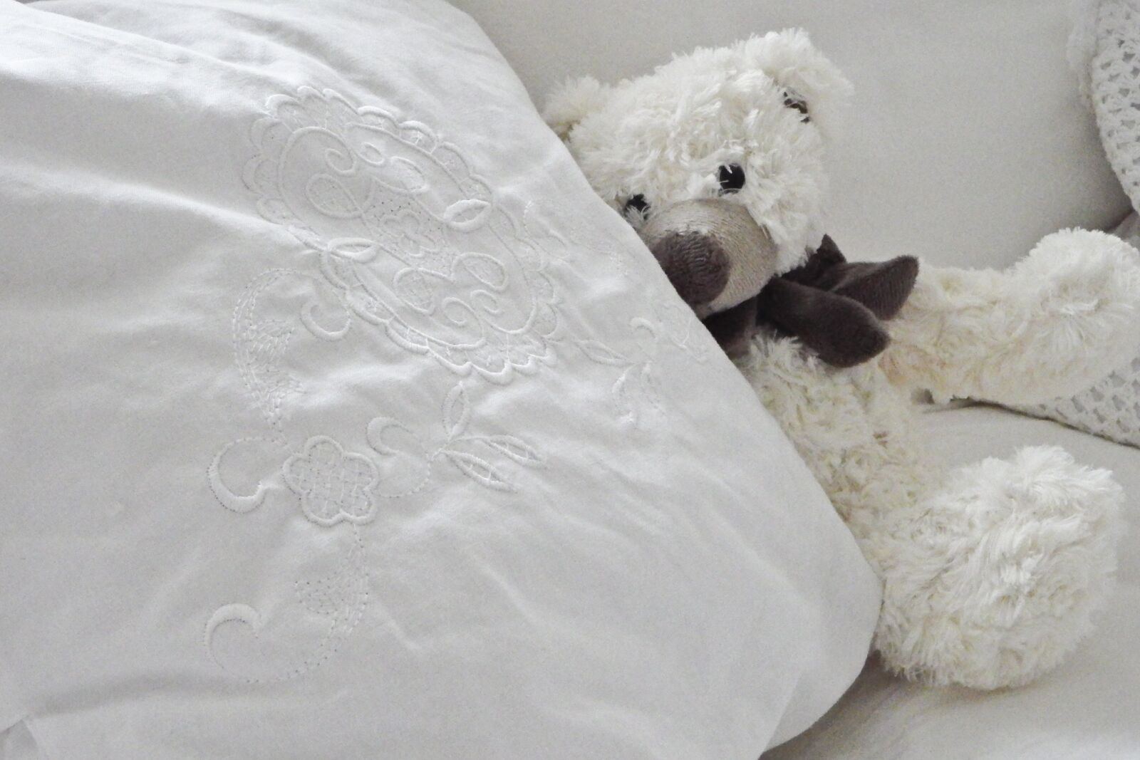 Fujifilm FinePix SL1000 sample photo. Bear, teddy bear, teddy photography