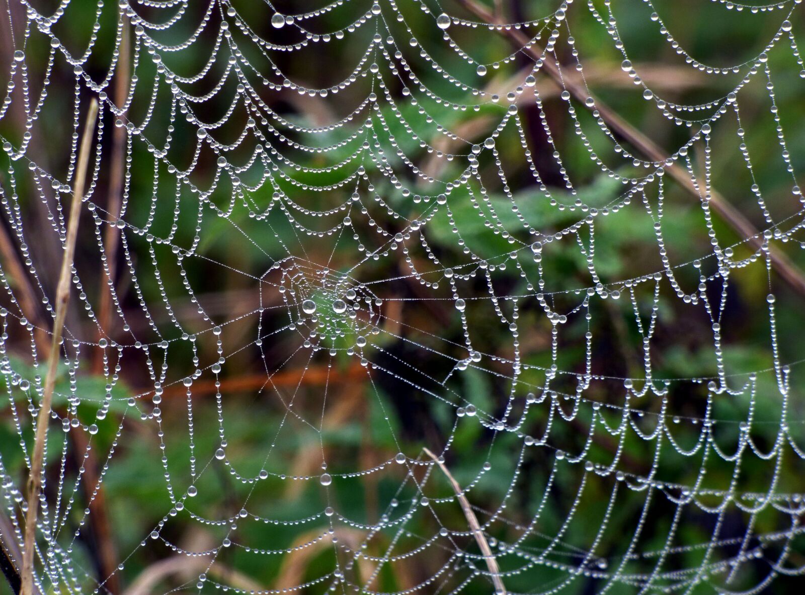 Panasonic DMC-FZ72 sample photo. Canvas, spider, beads photography