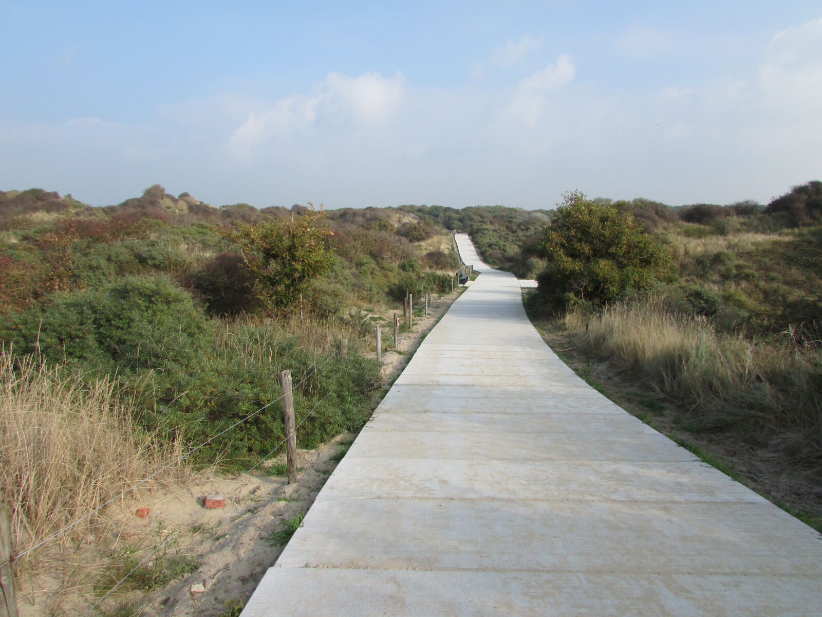 Canon PowerShot SX500 IS sample photo. Dune, sand, dune, way photography