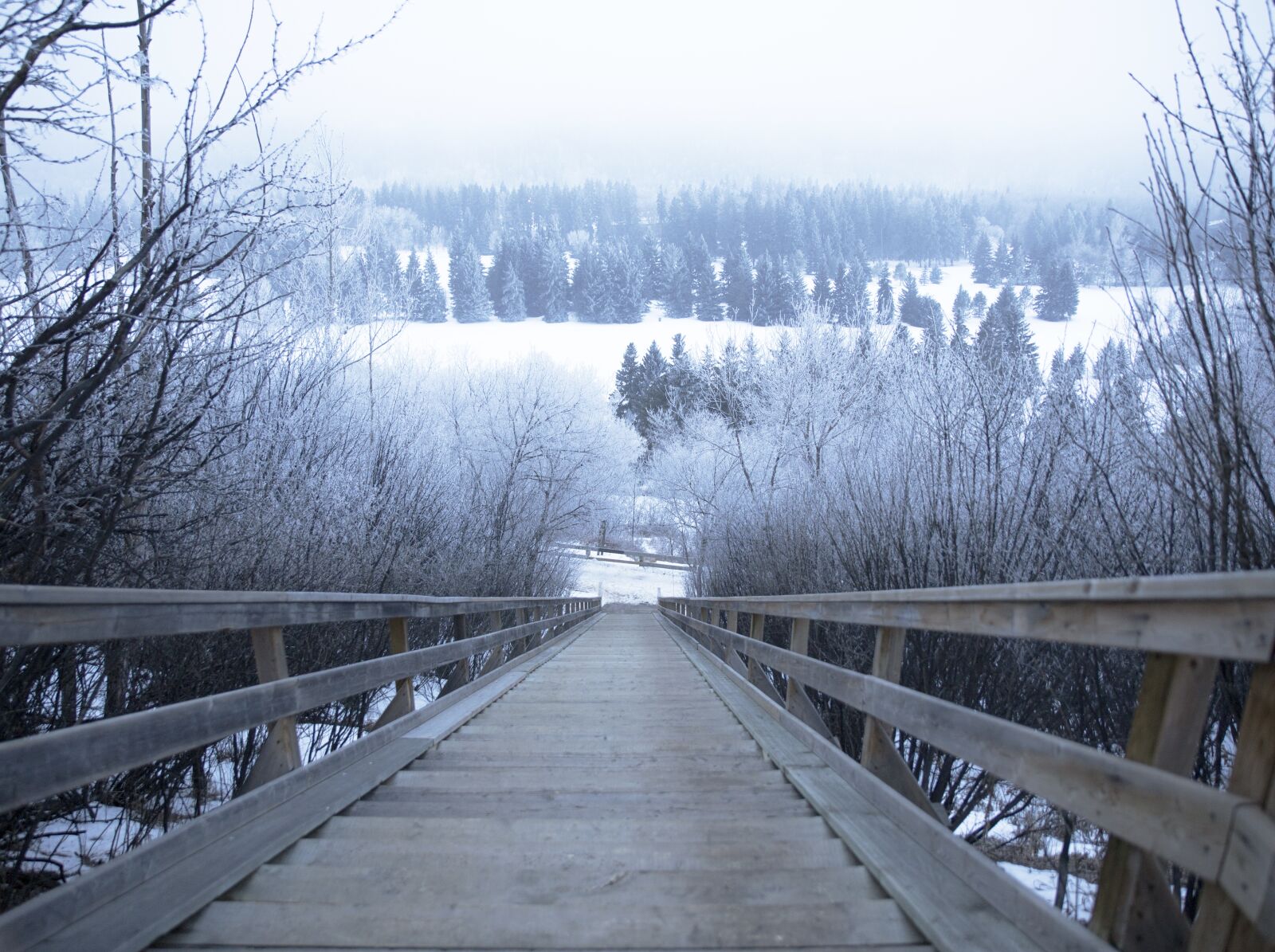 Canon EOS 6D sample photo. Stairs, winter, cold photography