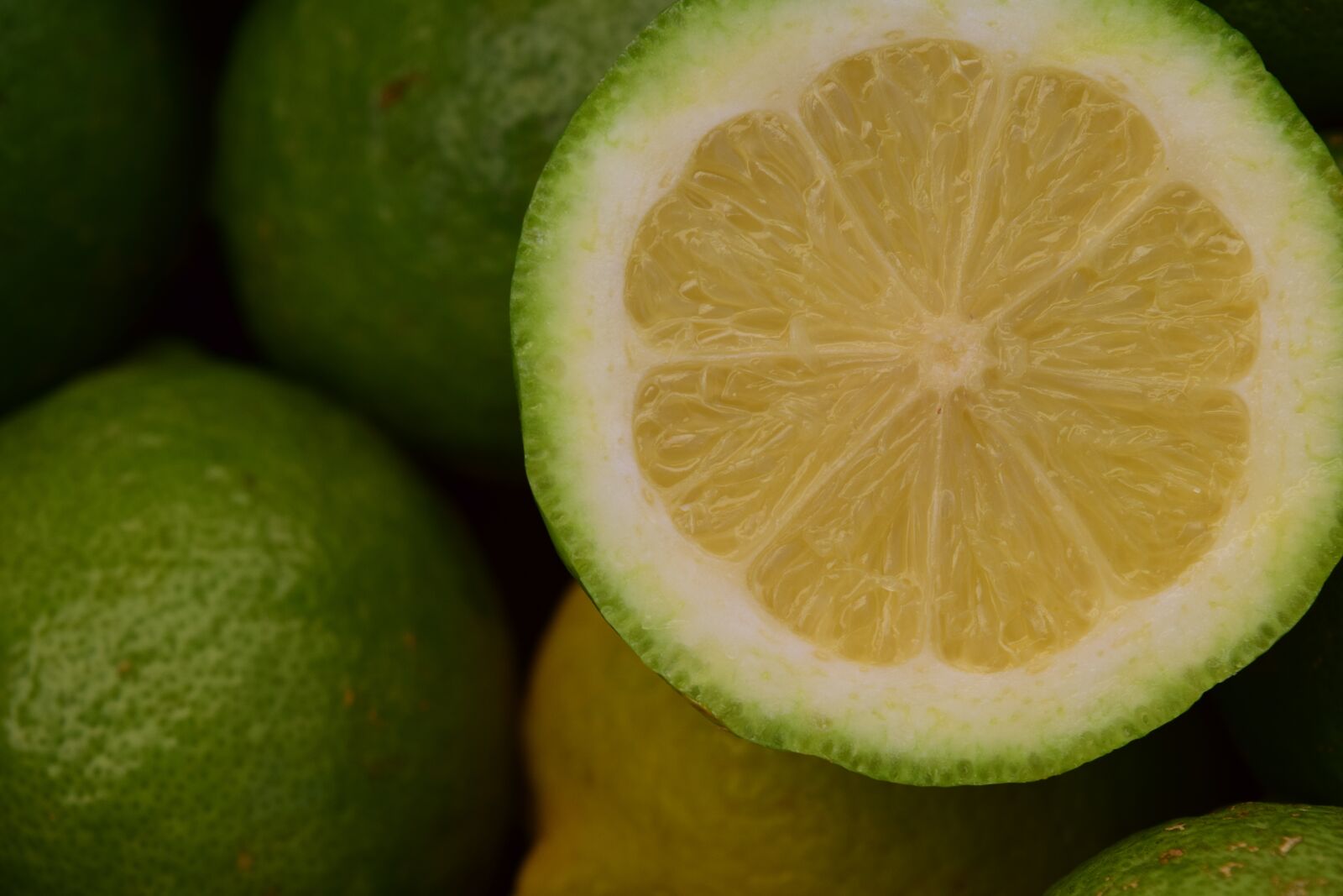 Nikon D3300 sample photo. Lemon, citrus fruit, fruit photography