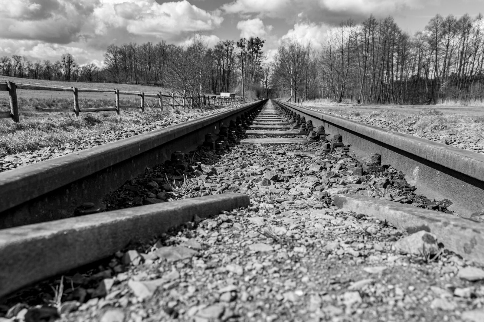 Sony SLT-A58 sample photo. Black and white, rails photography