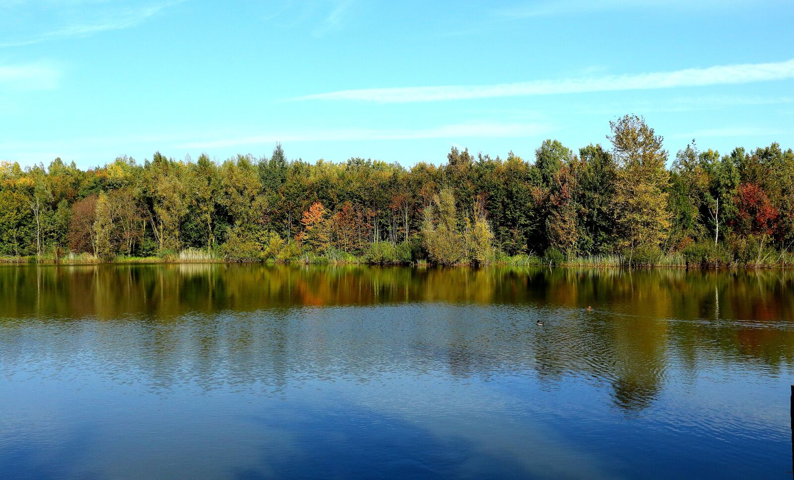 Canon EOS 700D (EOS Rebel T5i / EOS Kiss X7i) sample photo. Lake, forest, autumn photography