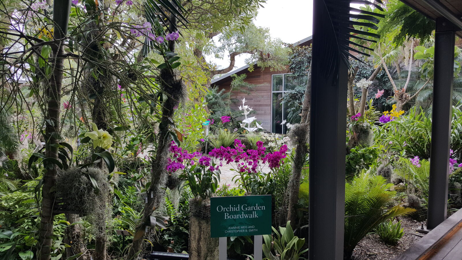 Samsung GALAXY S6 edge sample photo