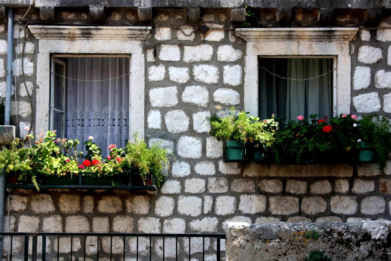 Canon EOS 450D (EOS Rebel XSi / EOS Kiss X2) sample photo. Dubrovnik, window, flower photography