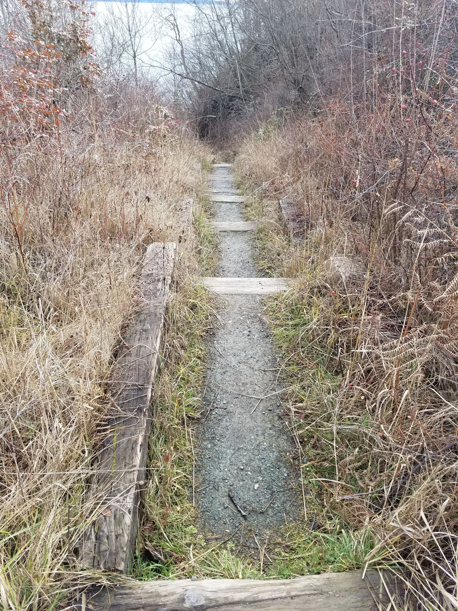 Samsung Galaxy S7 Edge sample photo