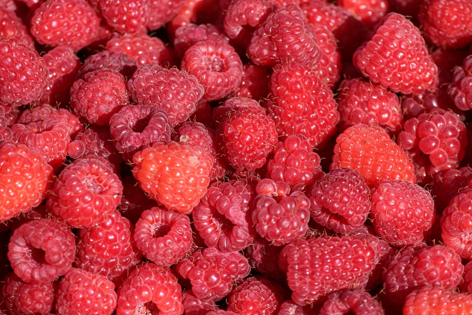 Canon EOS 1100D (EOS Rebel T3 / EOS Kiss X50) sample photo. Raspberries, berries, ripe photography