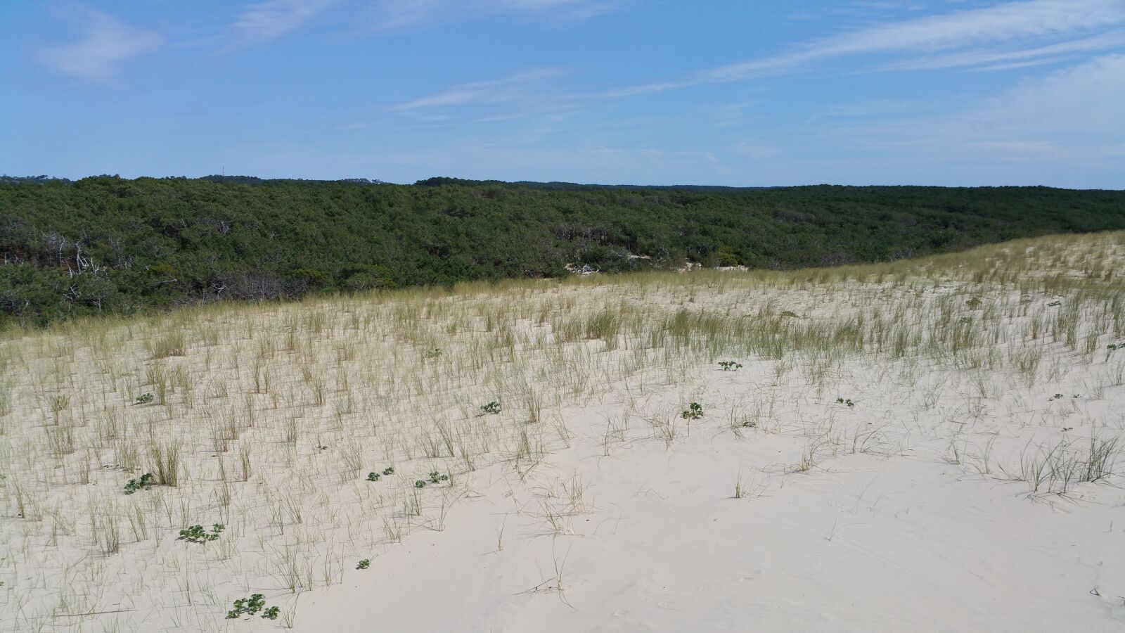 Samsung Galaxy Note4 sample photo. Sand, sky, dune photography
