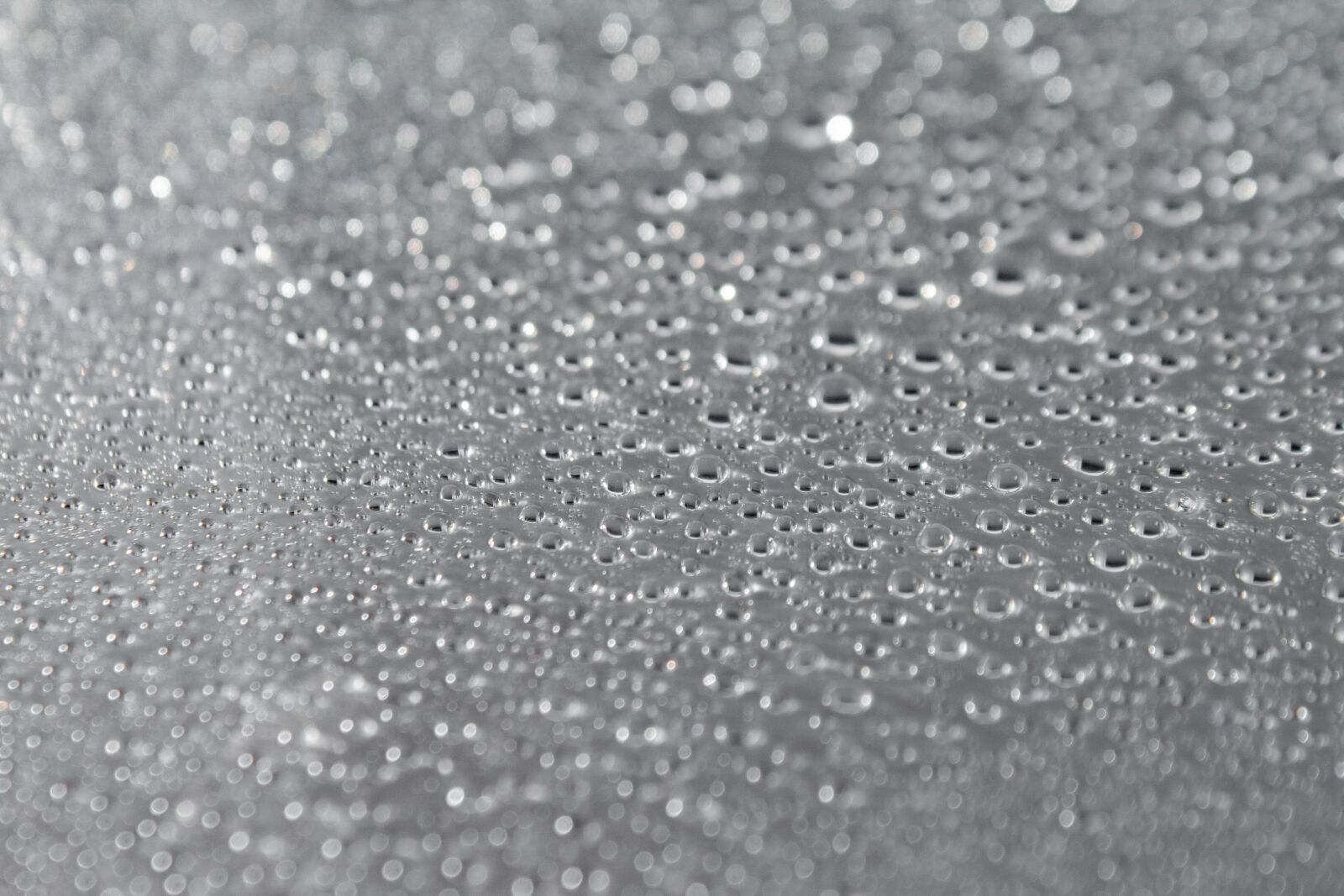 Canon EOS 70D sample photo. Splash, water, droplets photography