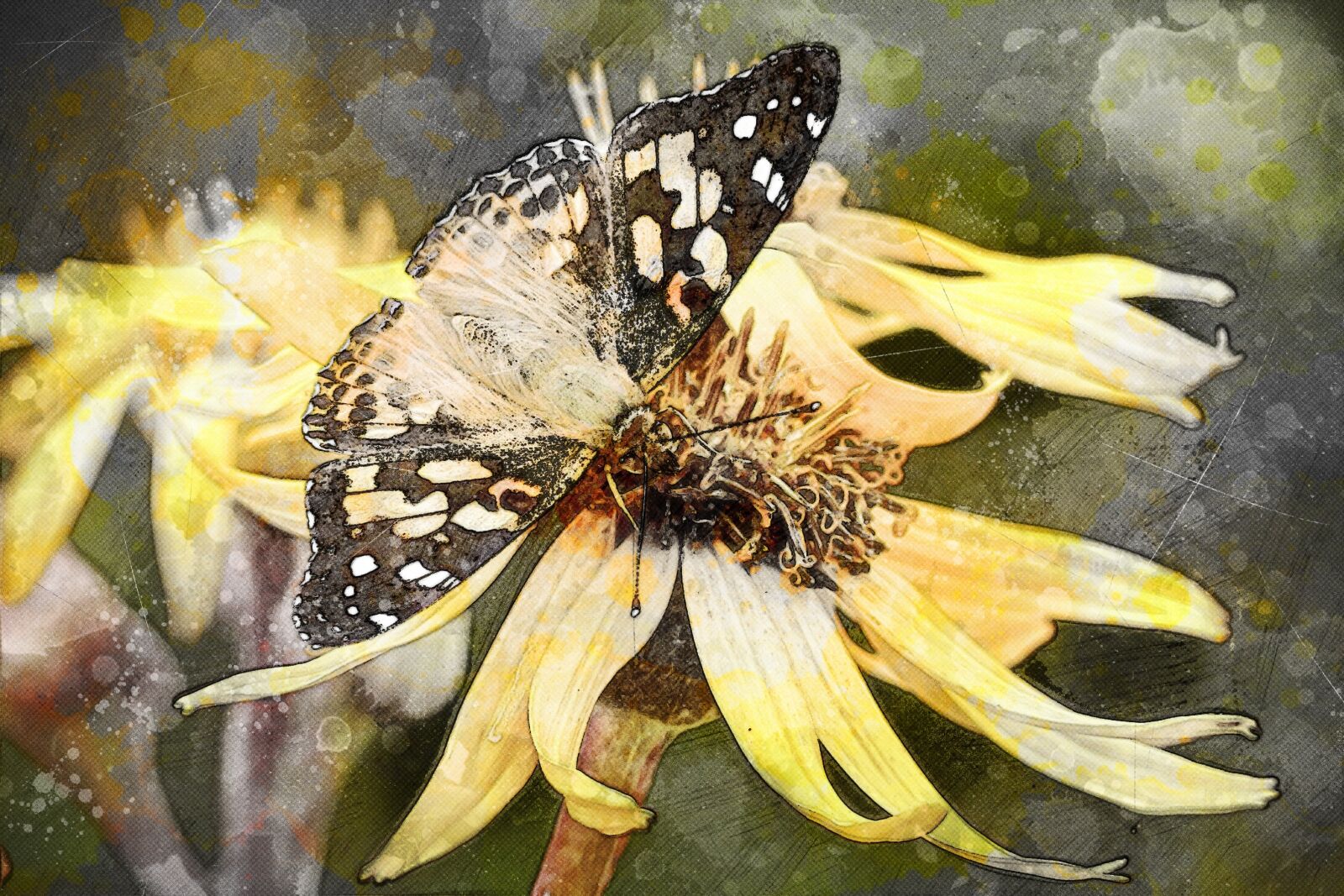 Panasonic Lumix DMC-FZ200 sample photo. Animal, insect, butterfly photography