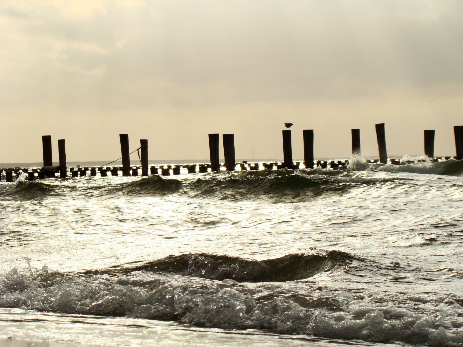 Sony DSC-H9 sample photo. Beach, baltic sea, sea photography