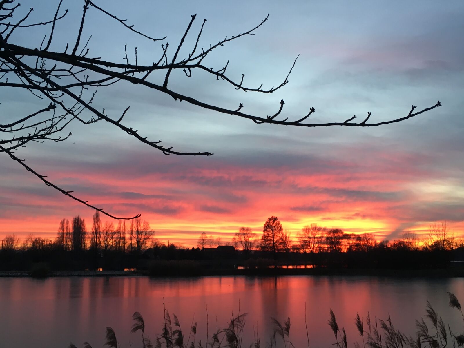 Apple iPhone 6s Plus sample photo. Sunset, nature, lake photography