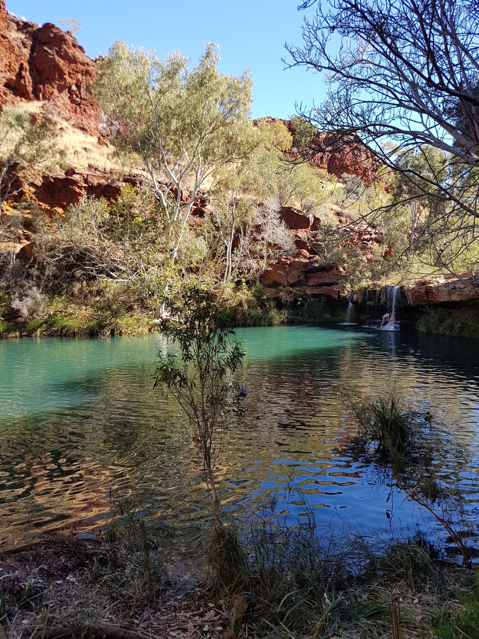 Samsung Galaxy S7 sample photo. Fern pool, wa, western photography