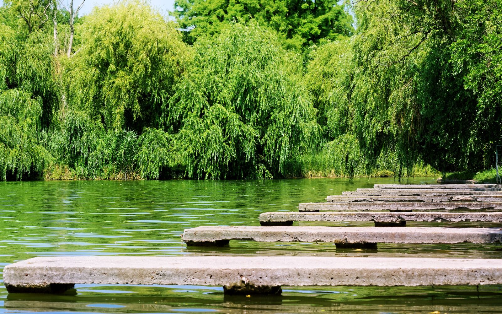 Nikon D5300 sample photo. Landscape, park, nature photography
