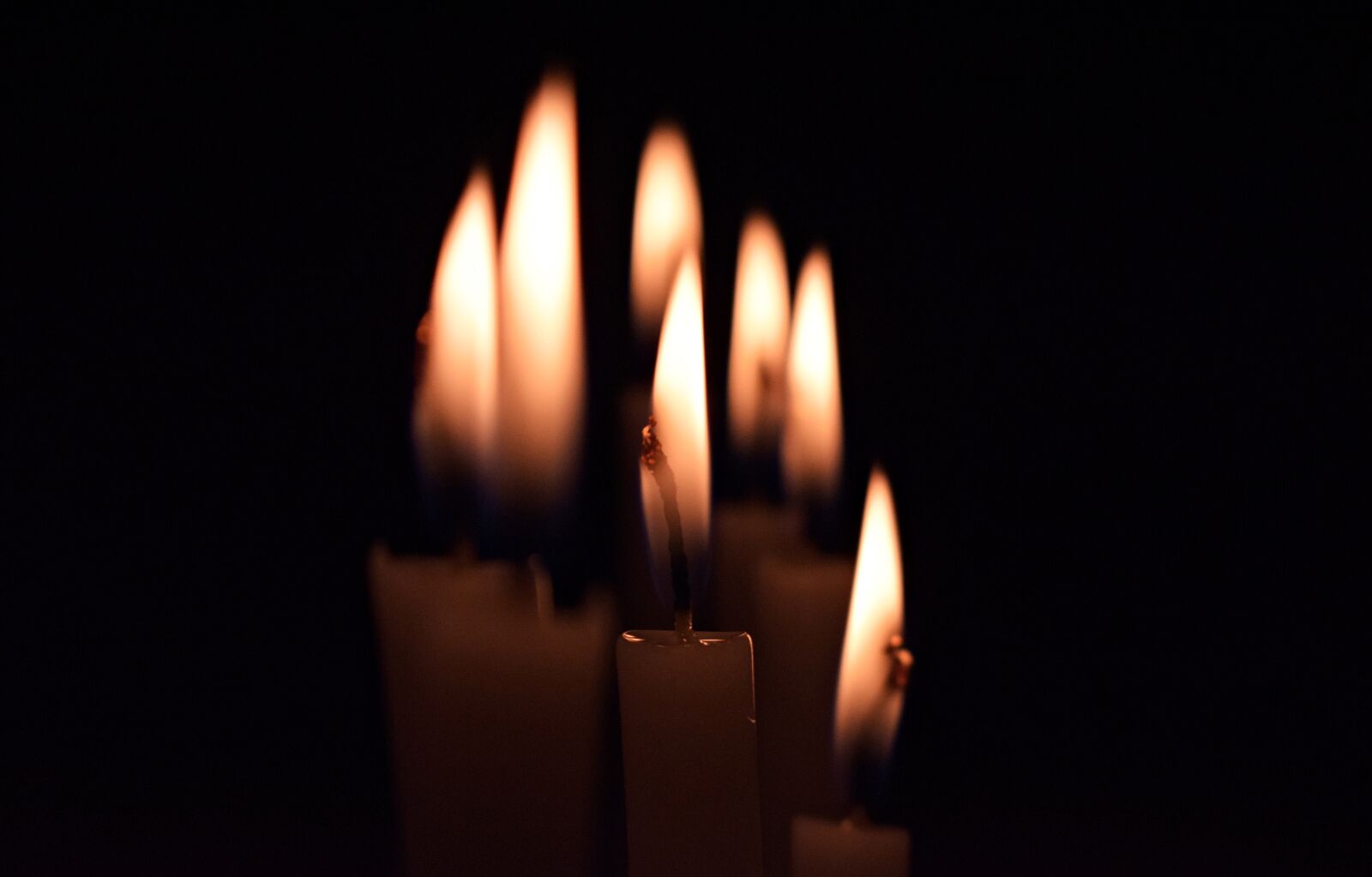 Nikon D5300 sample photo. Candles, on, seven photography