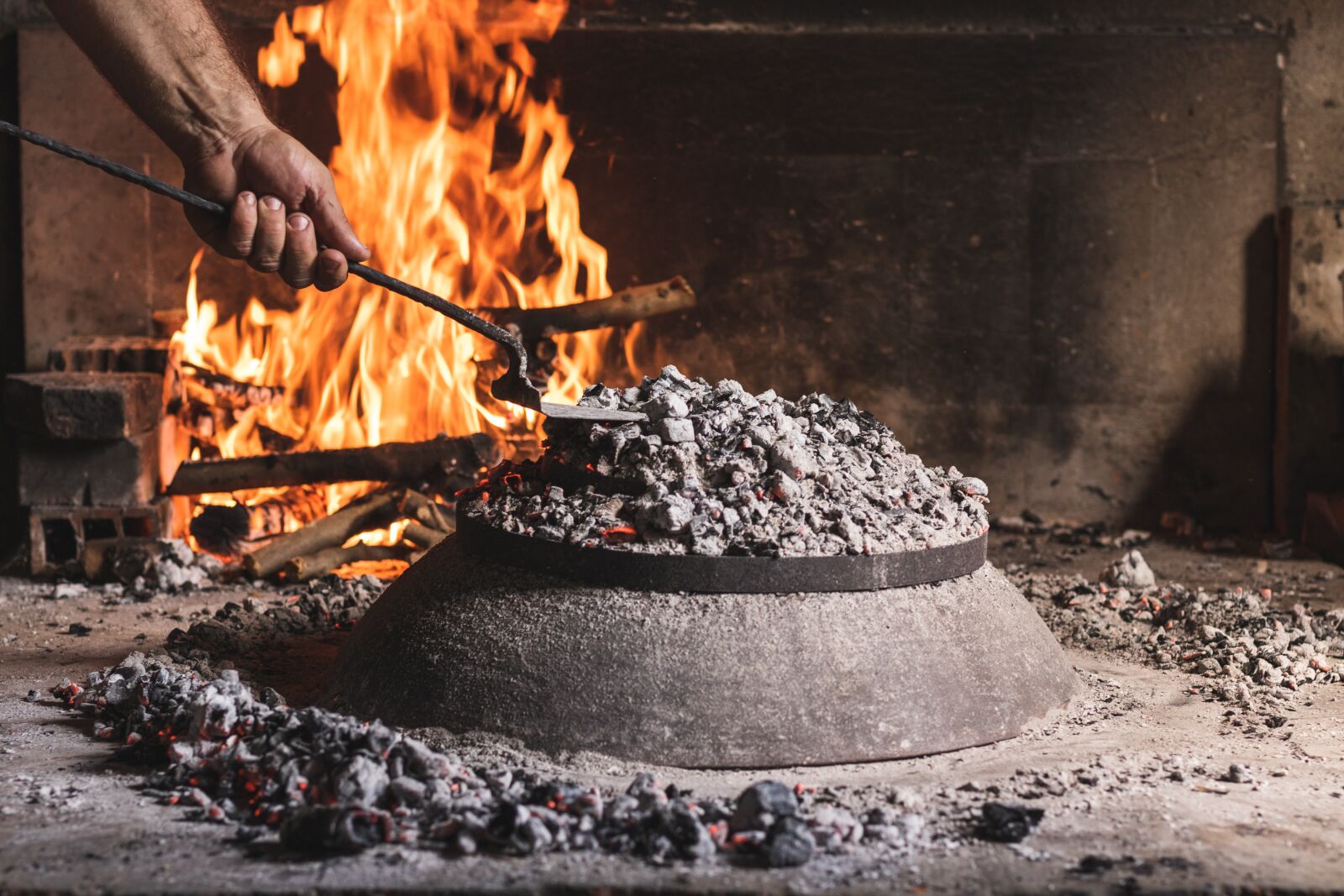 Canon EOS 750D (EOS Rebel T6i / EOS Kiss X8i) sample photo. Fire, meal, food photography