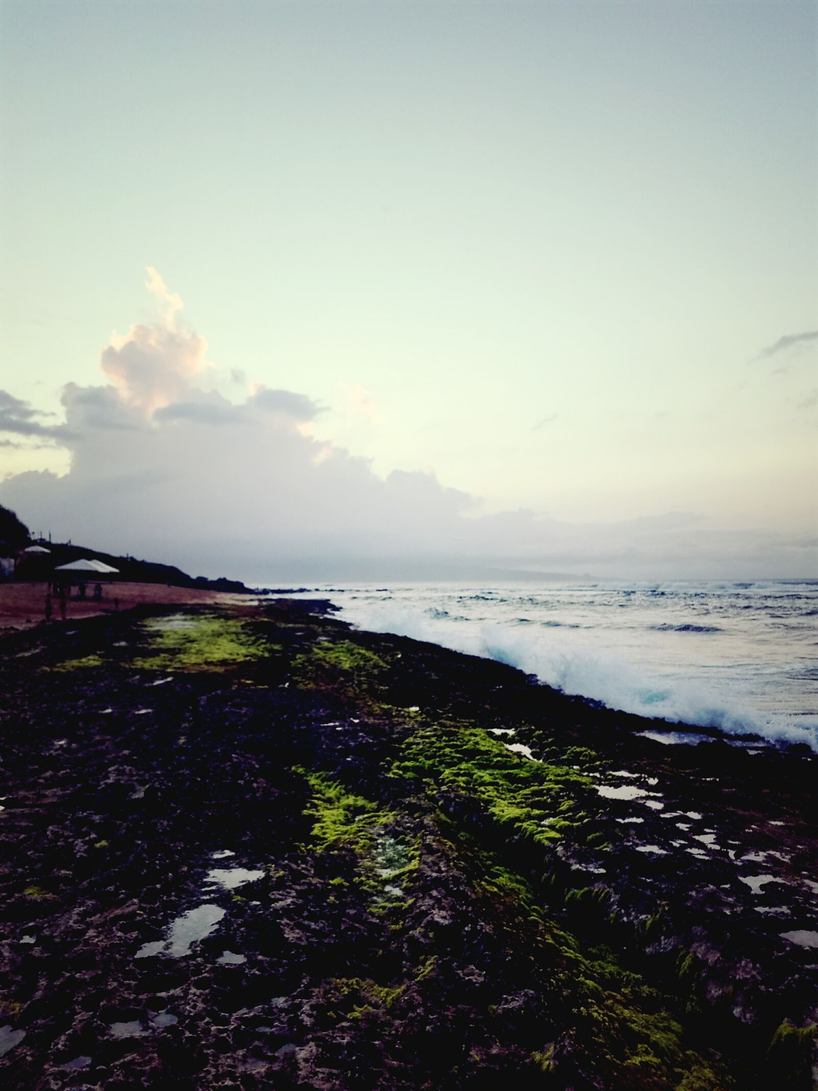 Samsung Galaxy S7 Edge sample photo. Algae, coast, line, hawaii photography