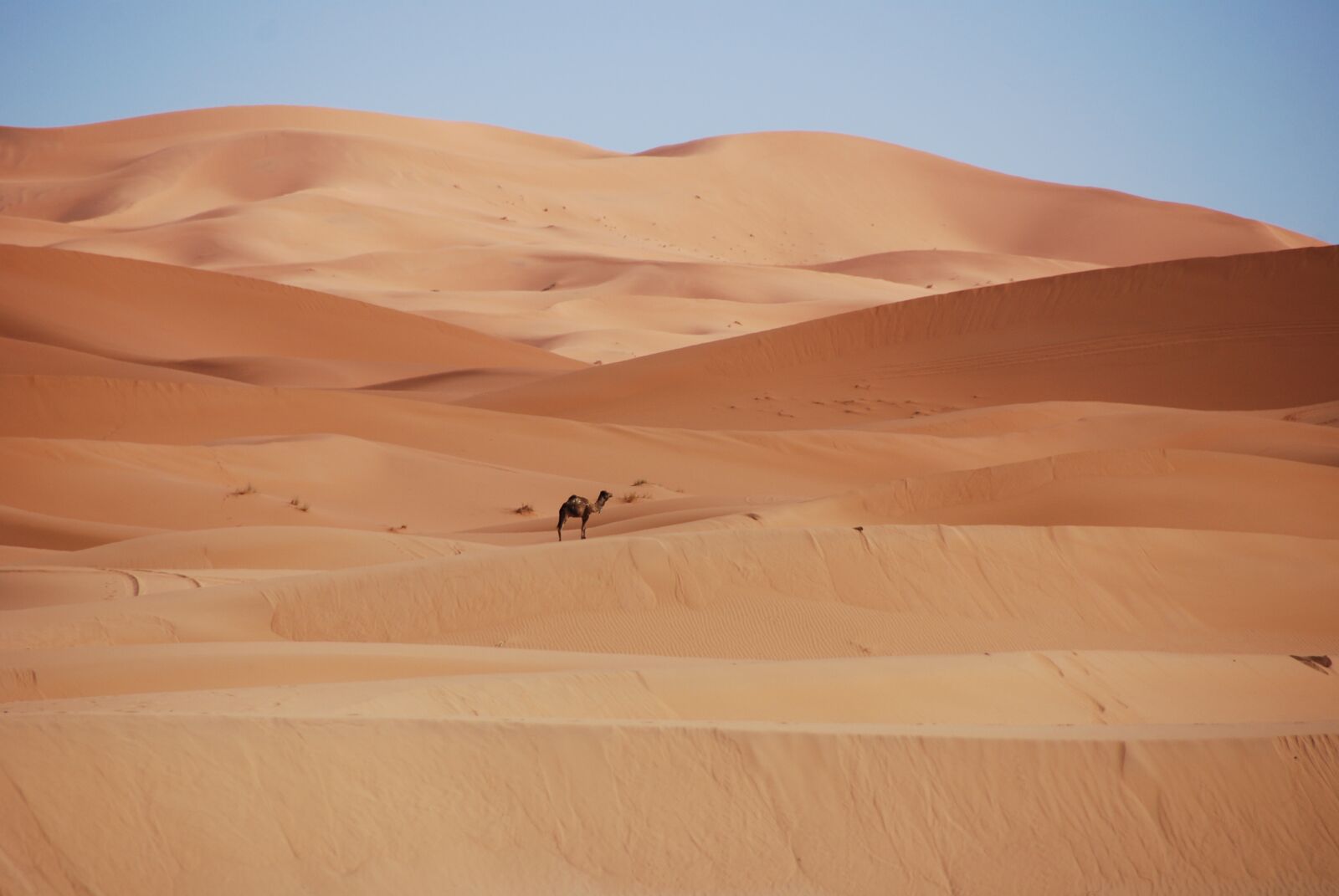 Nikon D40X sample photo. Desert, sand, dunes photography