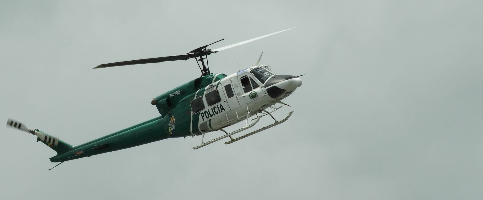 Nikon Coolpix B700 sample photo. Helicopter, branch of the photography