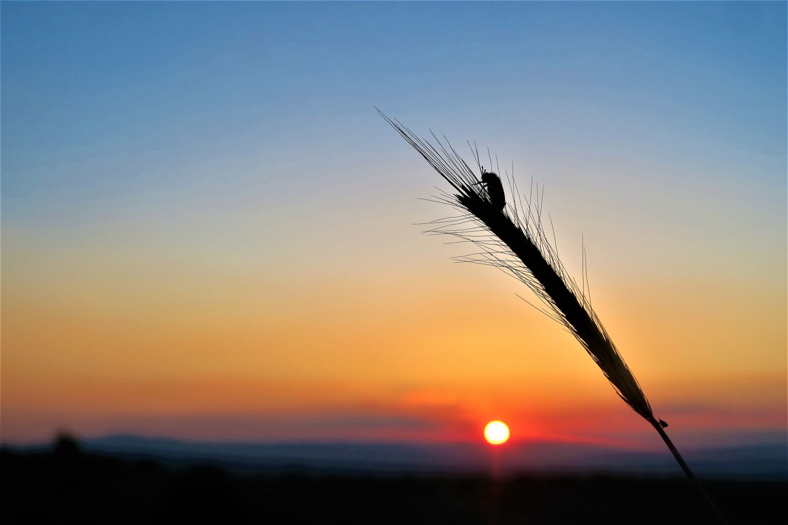 Canon PowerShot G7 X sample photo. Sunset, in the evening photography