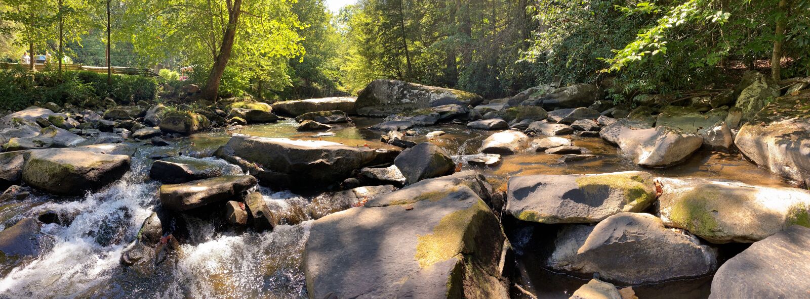 Apple iPhone XS Max + iPhone XS Max back camera 4.25mm f/1.8 sample photo. Paint creek, west virginia photography