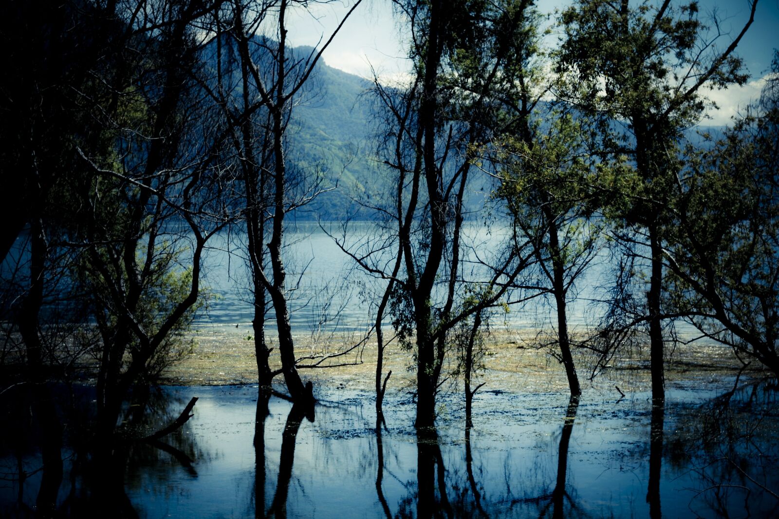Canon EOS 1000D (EOS Digital Rebel XS / EOS Kiss F) sample photo. Atitlan, lake, guatemala photography