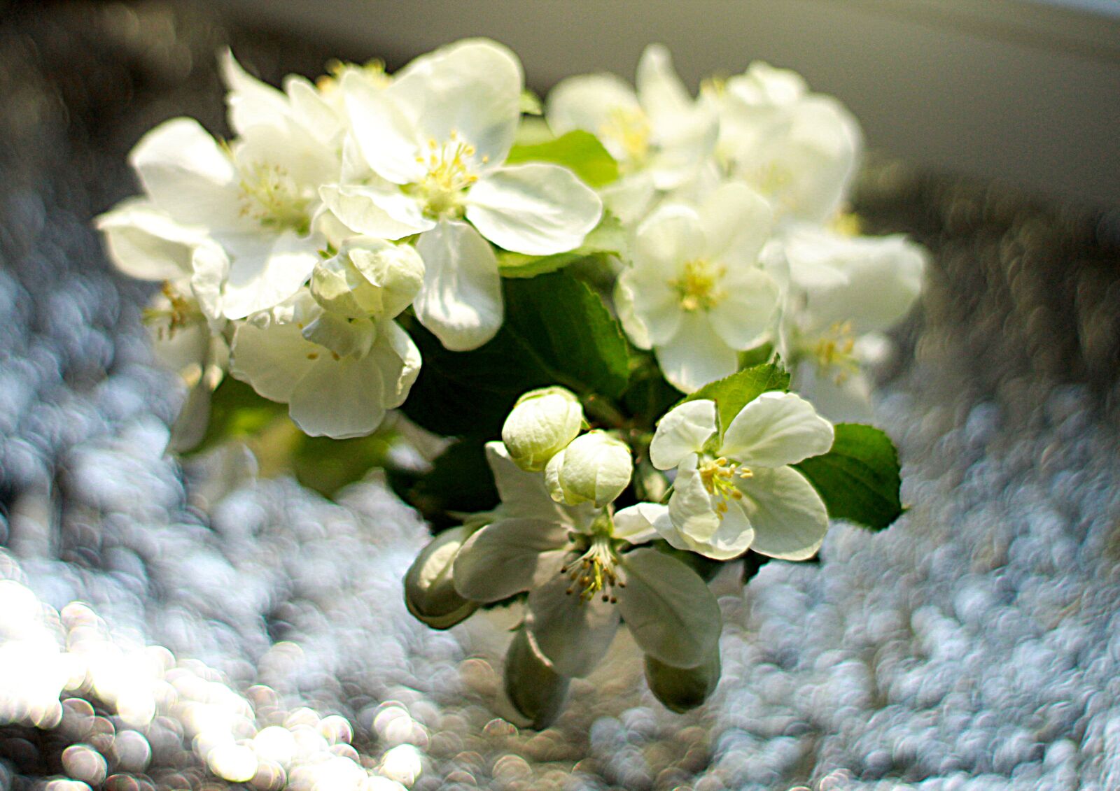 Canon EOS 1200D (EOS Rebel T5 / EOS Kiss X70 / EOS Hi) sample photo. Spring, bouquet, flowers photography