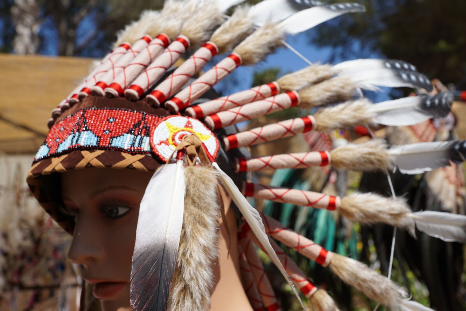 Sony ILCA-77M2 sample photo. Indians, jewellery, feather photography
