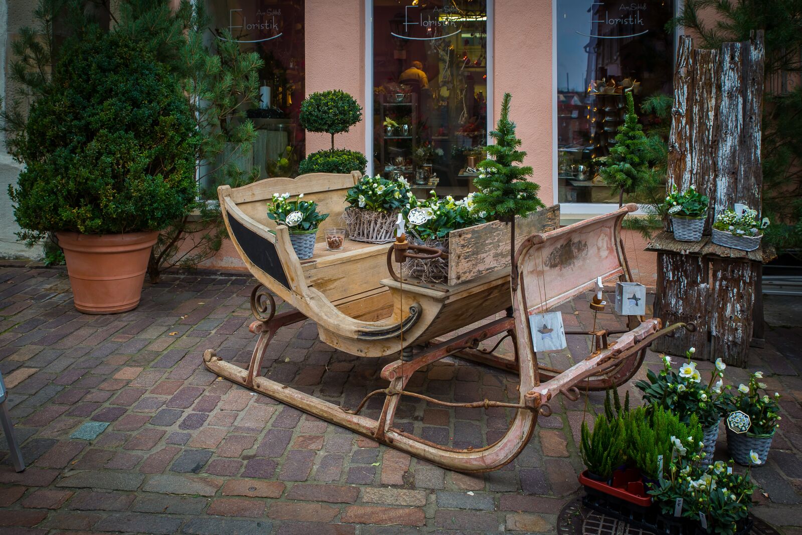 Canon EOS 5D Mark III sample photo. Slide, sleigh ride, sleigh photography