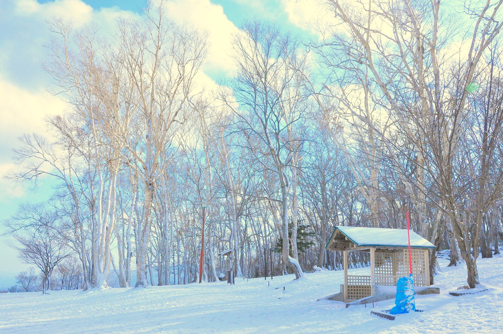 Nikon D90 sample photo. Snow, field, near, in photography