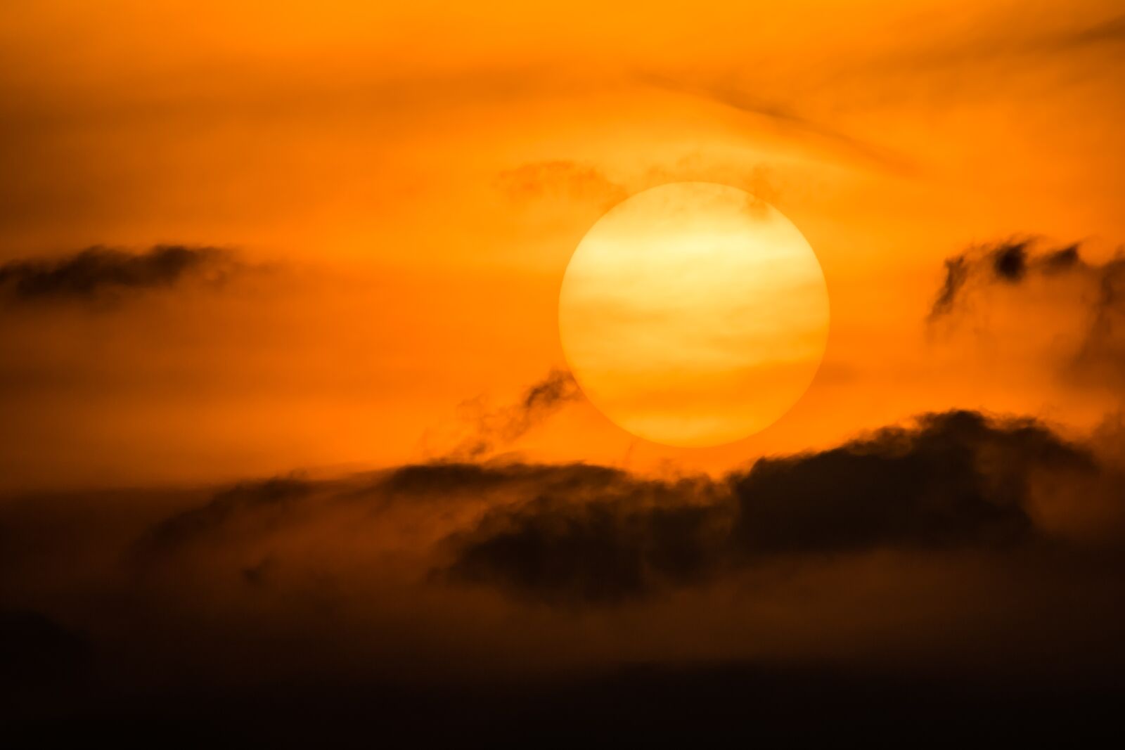 150-600mm F5-6.3 DG OS HSM | Contemporary 015 sample photo. Sun, clouds, sunset photography