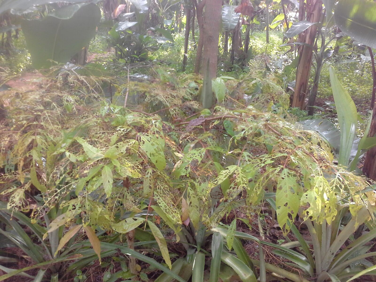 Samsung Galaxy Note 10.1 sample photo