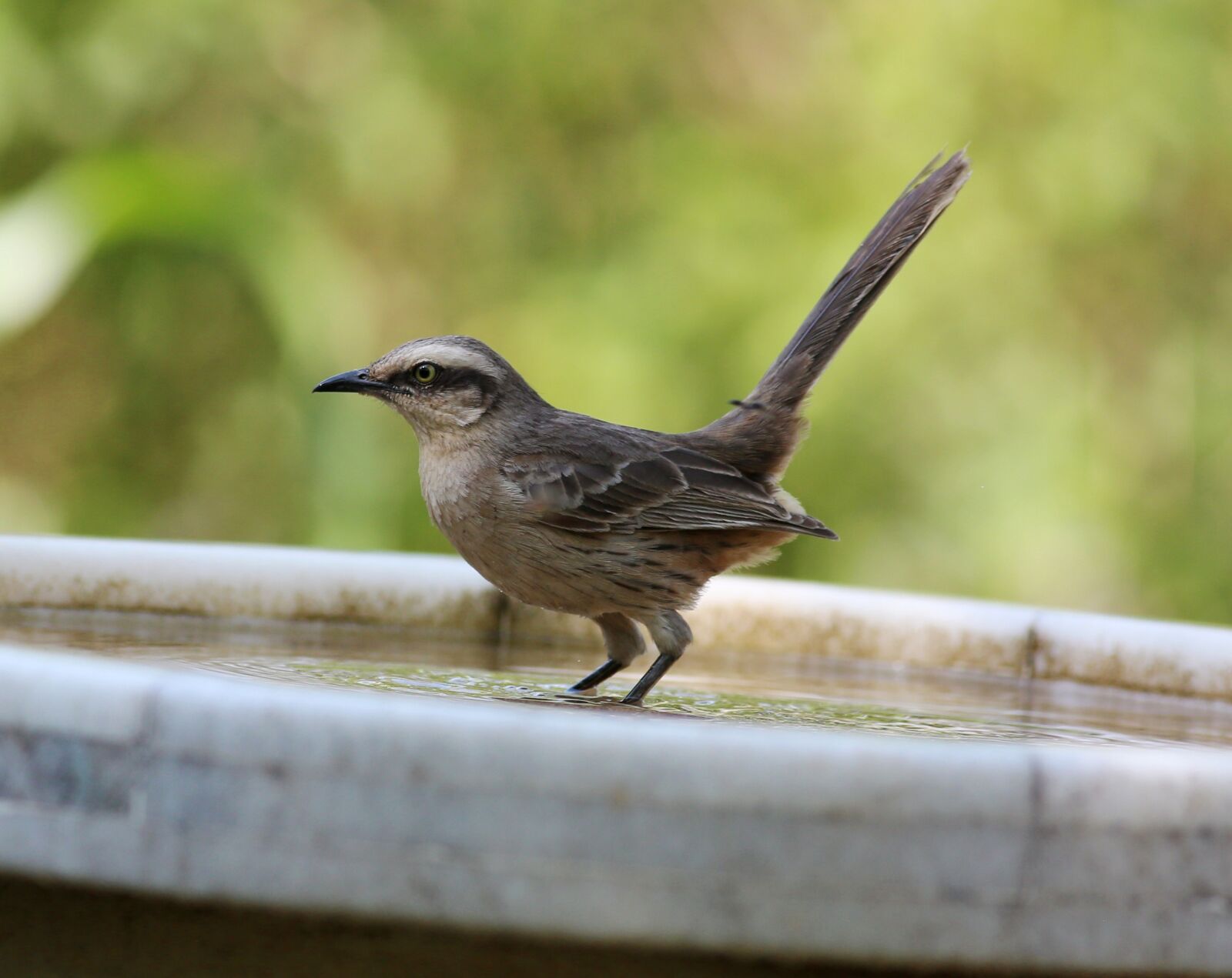 Canon EOS 5D Mark III sample photo. I knew the field photography