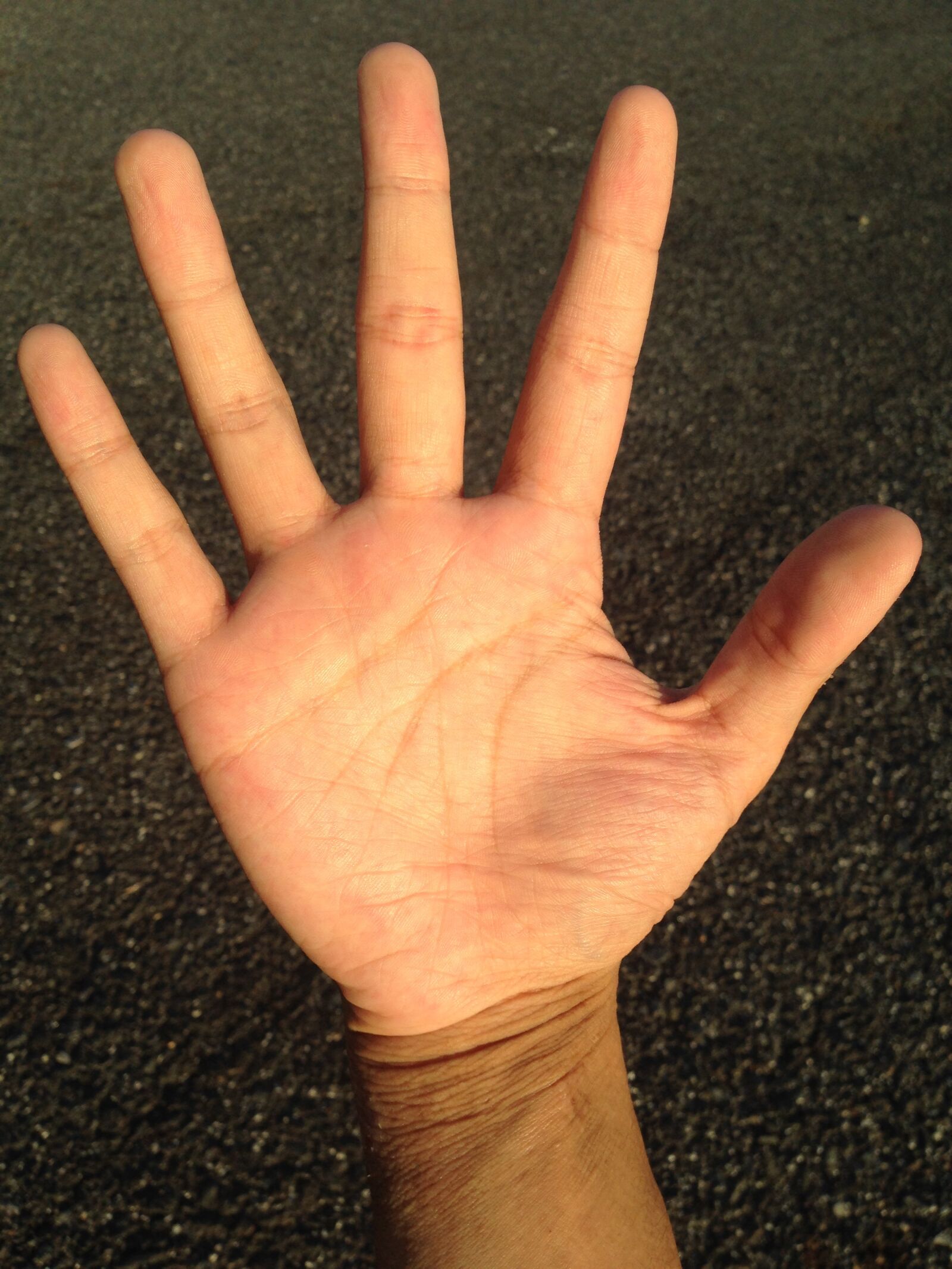 iPhone 5 back camera 4.12mm f/2.4 sample photo. Palm, hand, finger photography