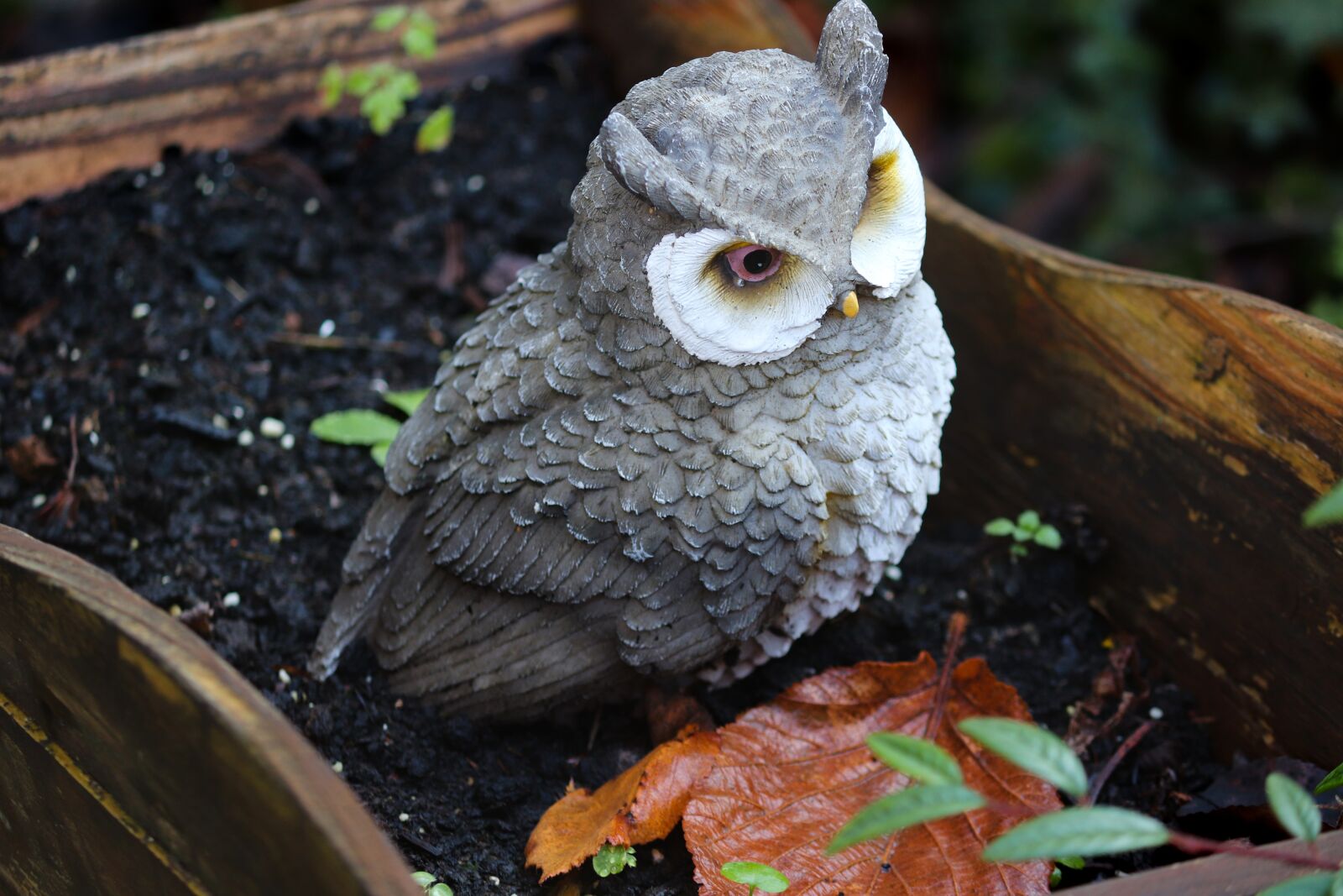 Canon EOS 200D (EOS Rebel SL2 / EOS Kiss X9) sample photo. Bird, owl, eagle owl photography