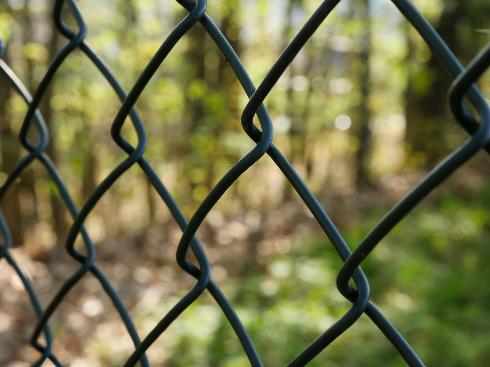 Panasonic Lumix DMC-GX8 sample photo. Fence, wire mesh, border photography