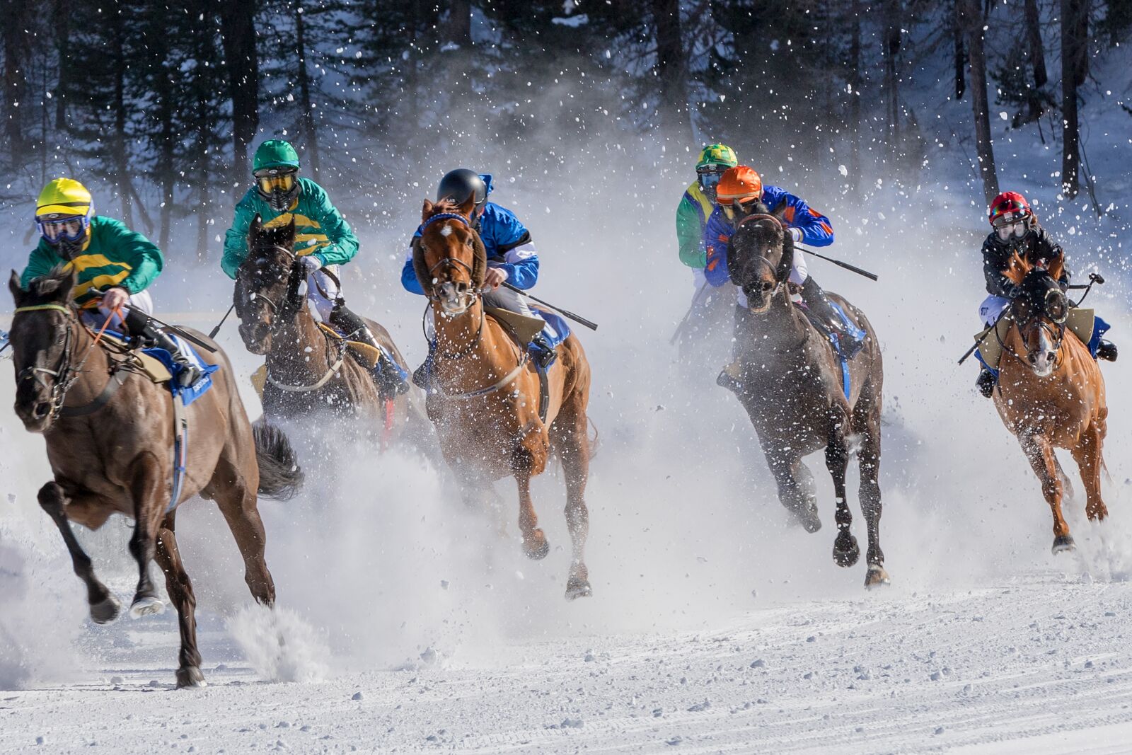 Canon EOS 6D Mark II sample photo. Horse racing, gallop, jockey photography