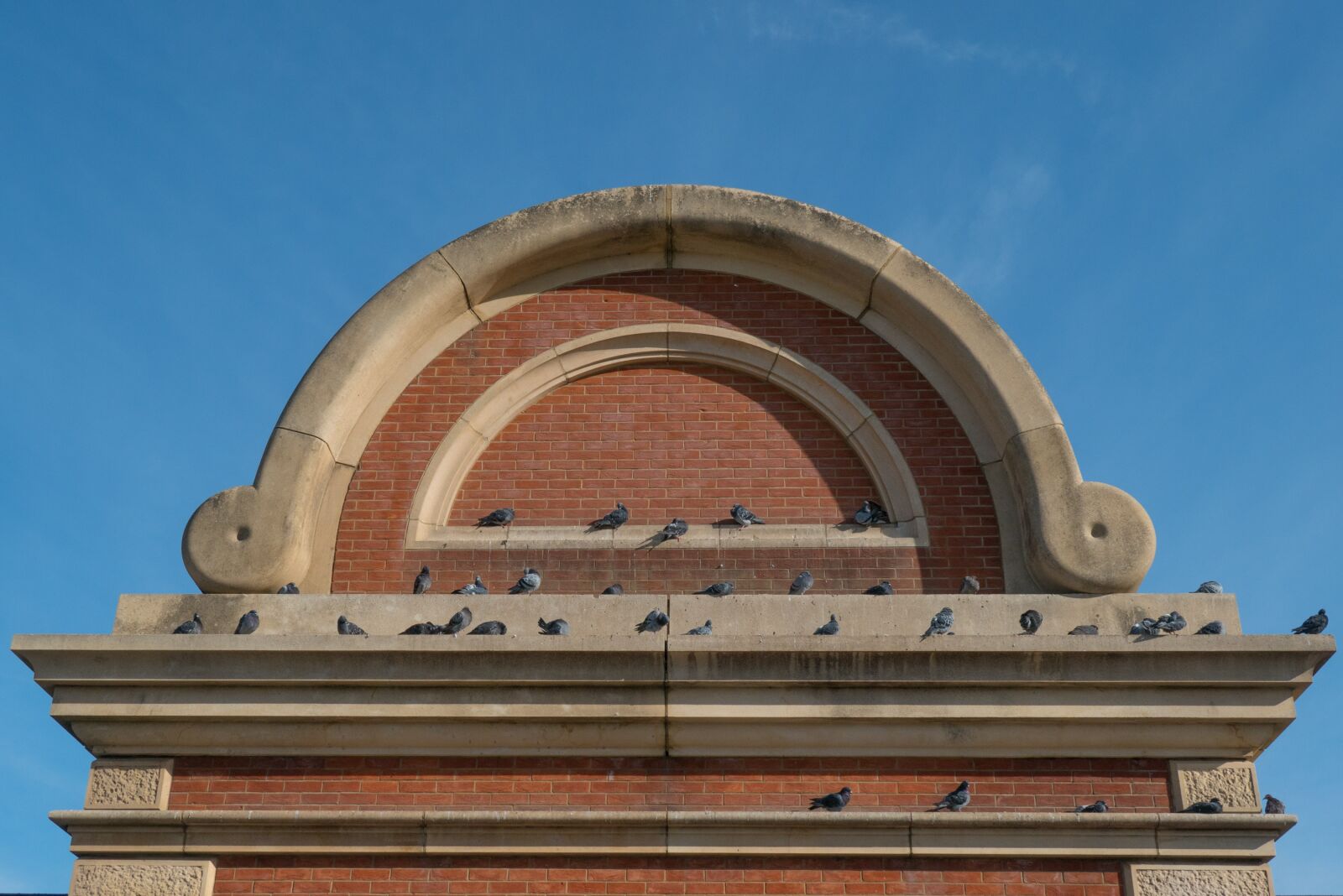 Panasonic DC-TZ200 sample photo. Plinth, pigeon, brick photography