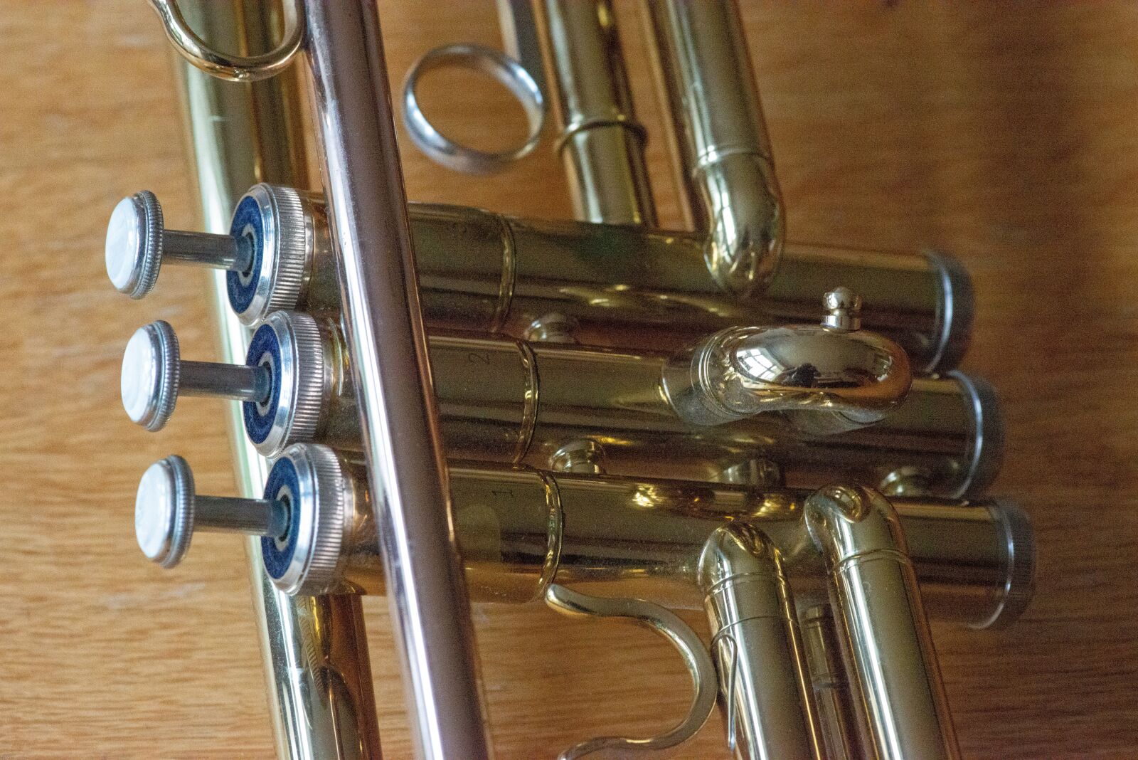Nikon D800 sample photo. Macro, trumpet, brass photography