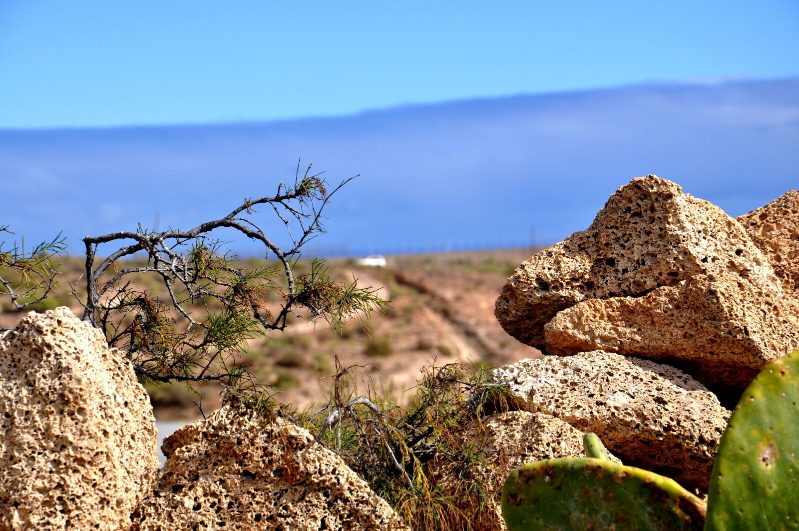 Nikon D5000 sample photo. Nature, sky, blue photography