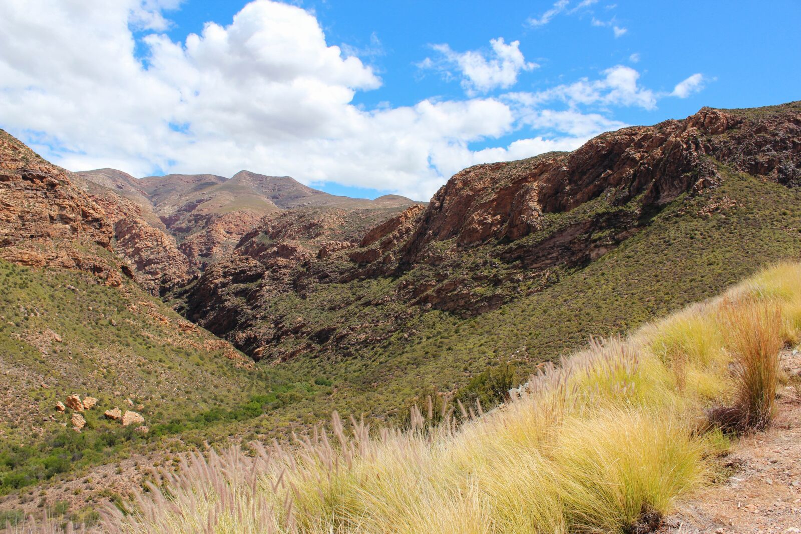 Canon EOS 600D (Rebel EOS T3i / EOS Kiss X5) sample photo. South africa, nature, mountains photography