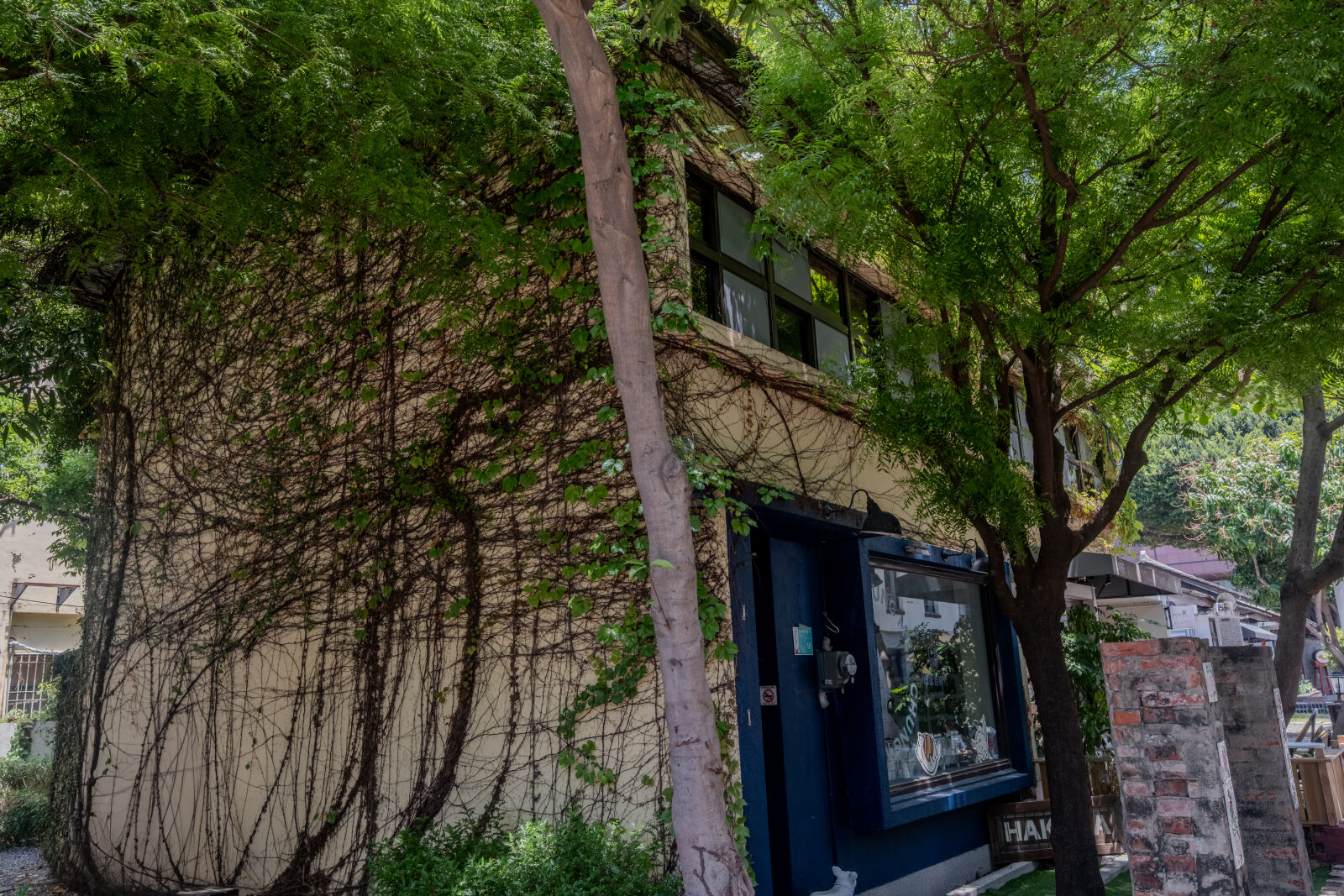 Fujifilm X-H2 sample photo