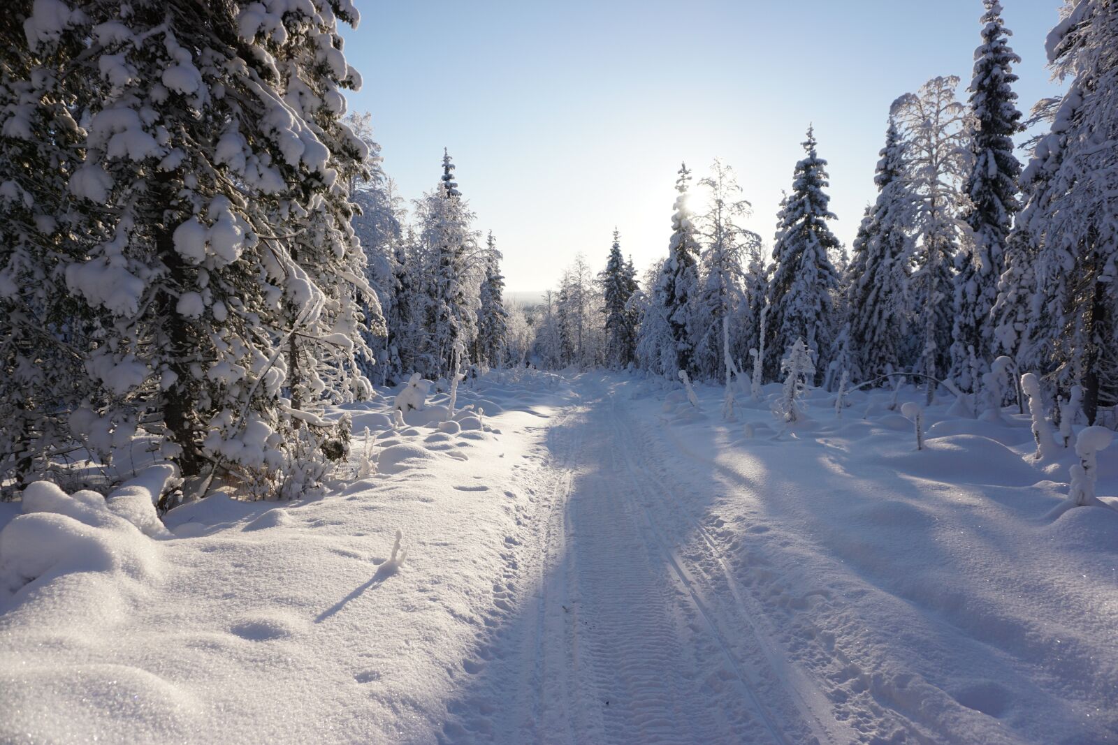Sony E 16-50mm F3.5-5.6 PZ OSS sample photo. Winter, snow, trees photography