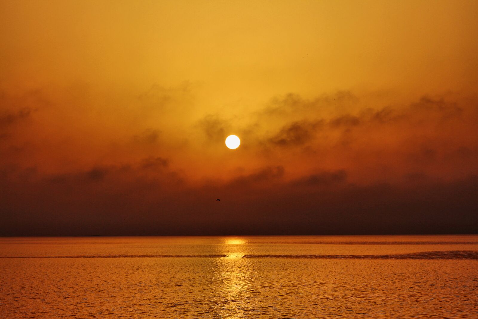 Canon EOS 700D (EOS Rebel T5i / EOS Kiss X7i) sample photo. Clouds, sunset, sun photography