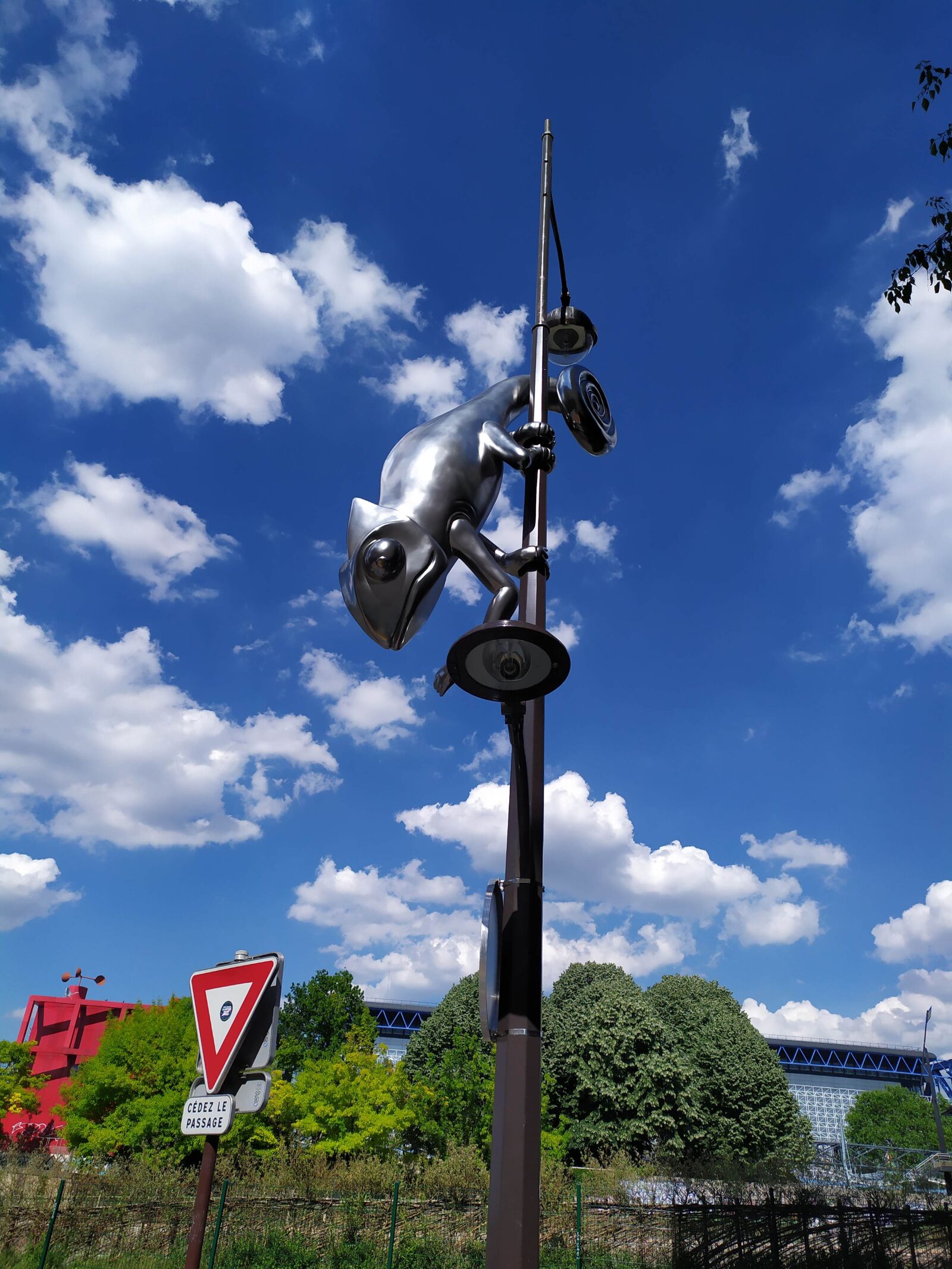 Xiaomi Redmi Note 7 sample photo. Frog, park, light photography
