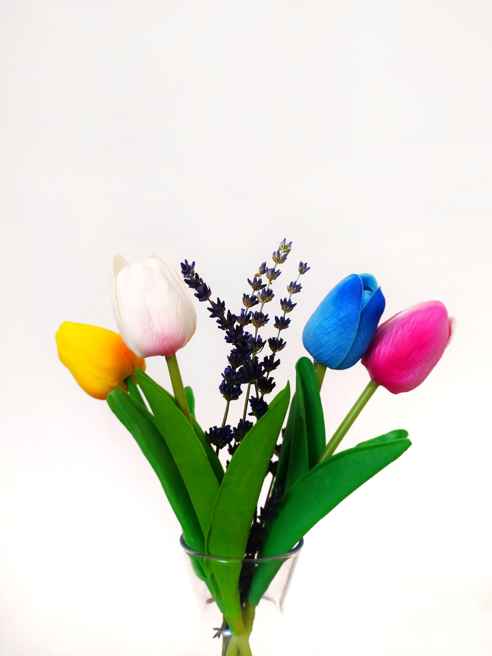 Xiaomi Redmi Note 8 sample photo. Tulips, colors, lavender photography