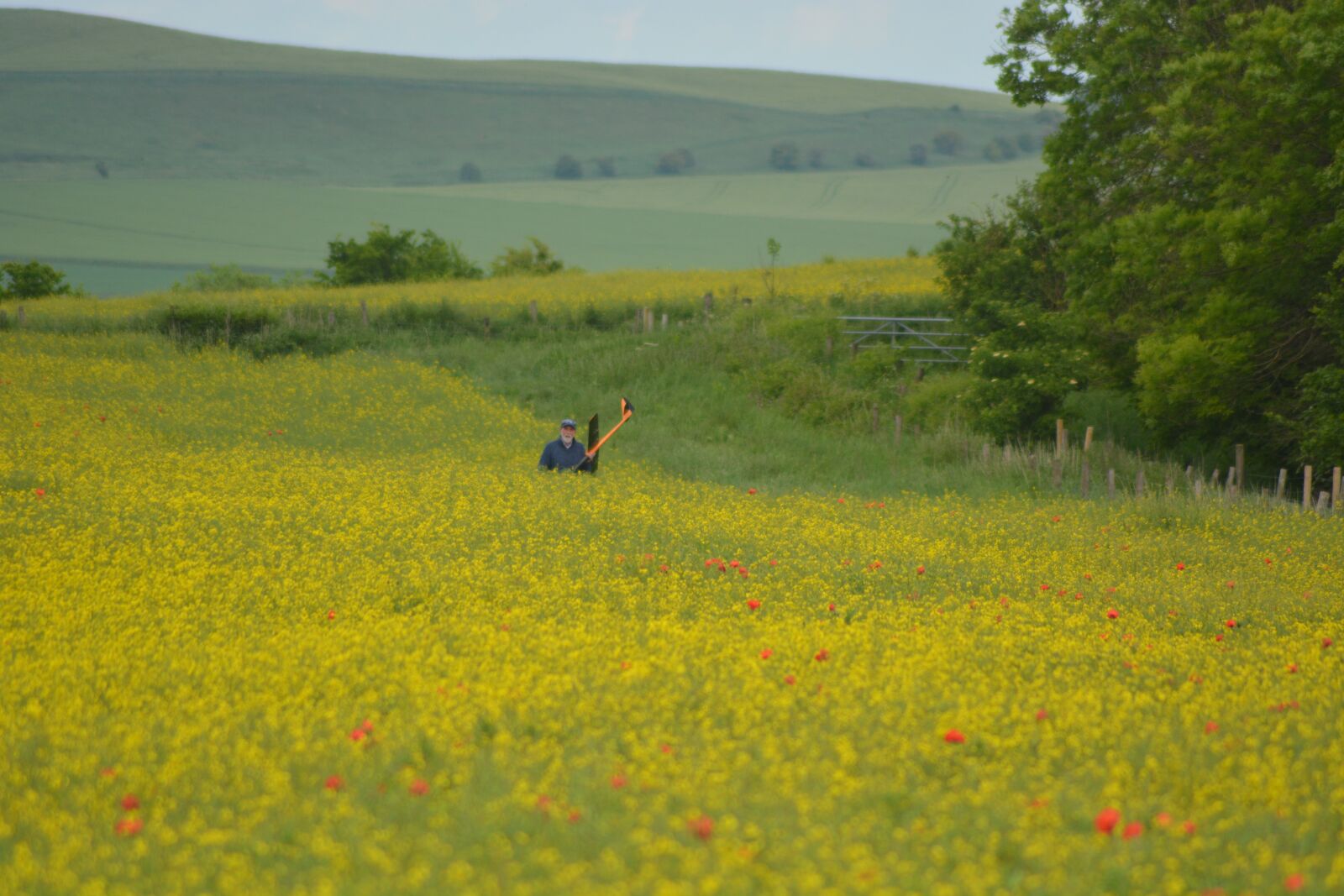 Nikon D5200 sample photo. Man, model plane, yellow photography